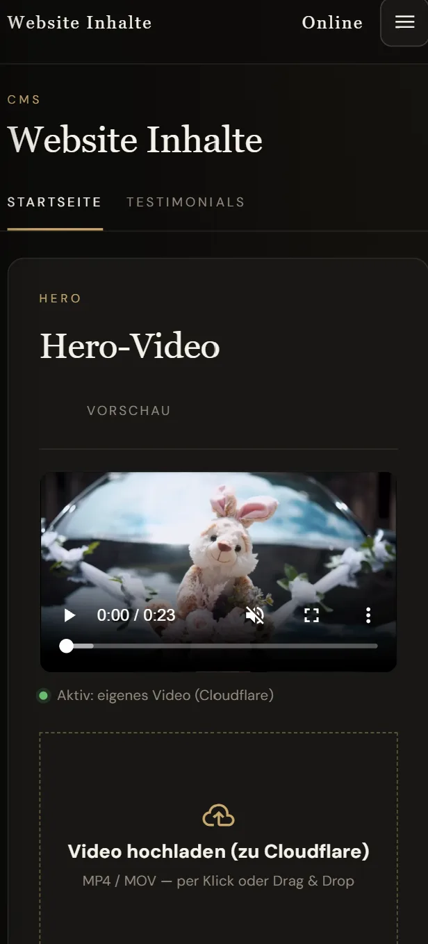 Website-Inhalte: Hero-Video hochladen