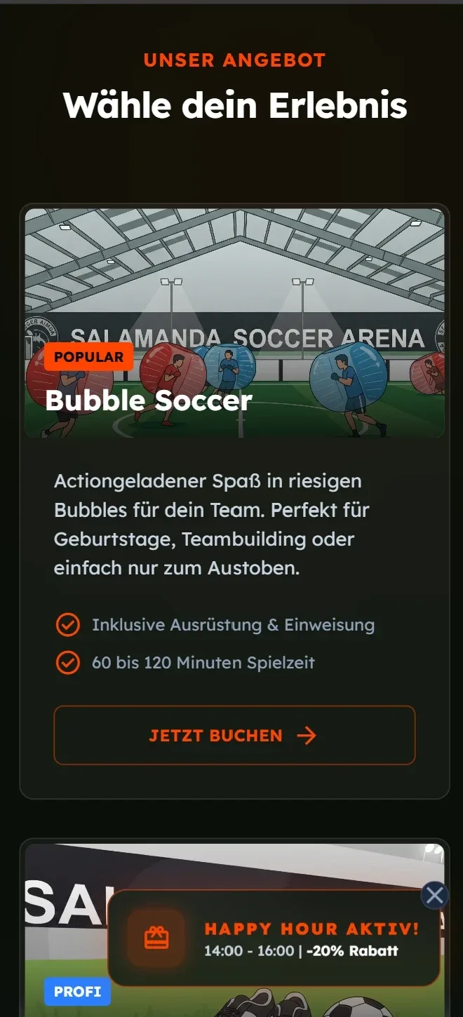 Offer: bubble soccer with equipment and briefing